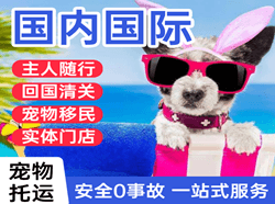 景德镇罗家空运地址国际宠物托运 【国
